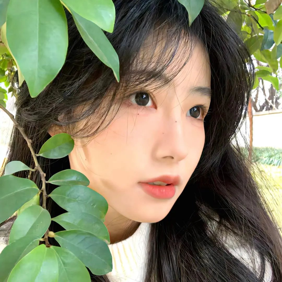 美丽时光 在线观看封面
